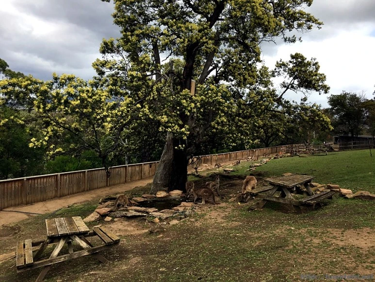 2016-11-25_at_08.45.34.jpg?type=w773