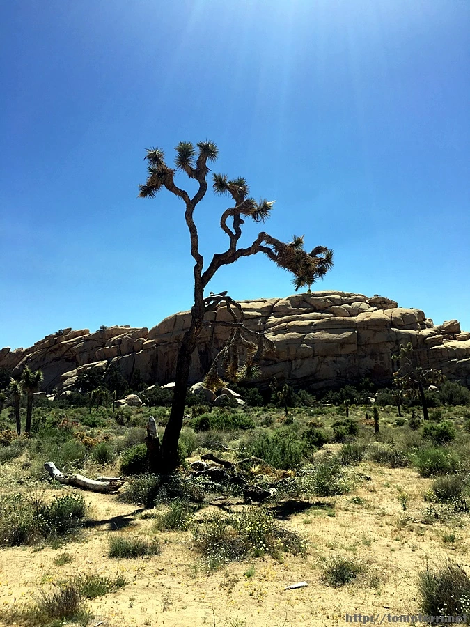 2017-05-05_at_06.13.51.jpg?type=w773