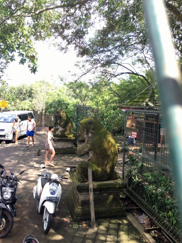 image_533353281476019059039.jpg?type=w773