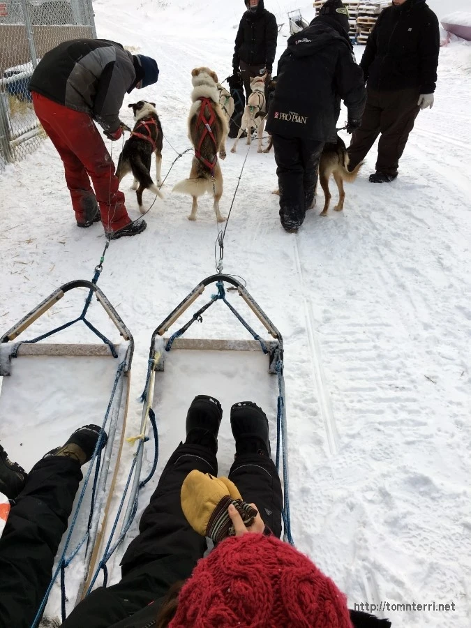 2016-02-07_at_05.42.29.jpg?type=w773