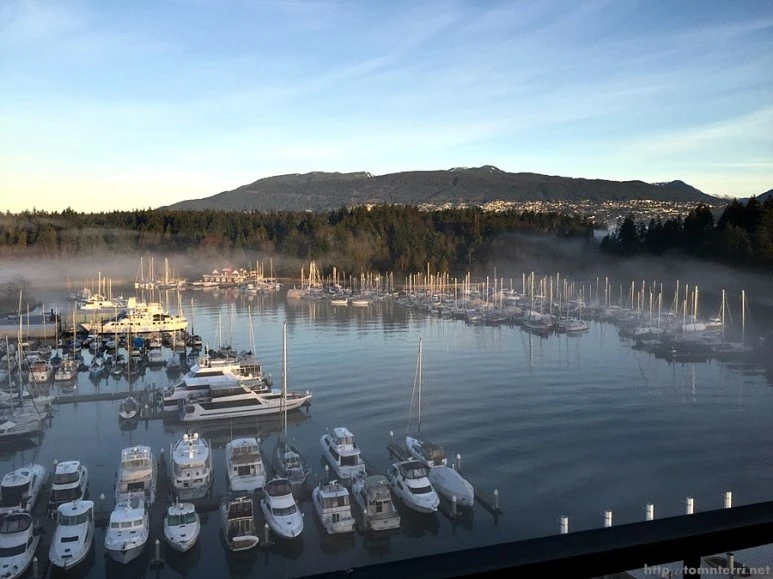 2016-02-10_at_01.00.44.jpg?type=w773