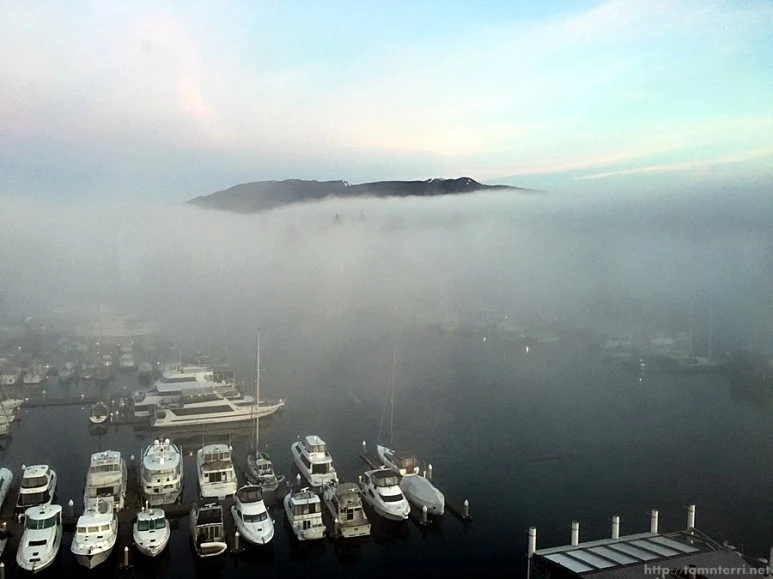 2016-02-10_at_00.17.58.jpg?type=w773