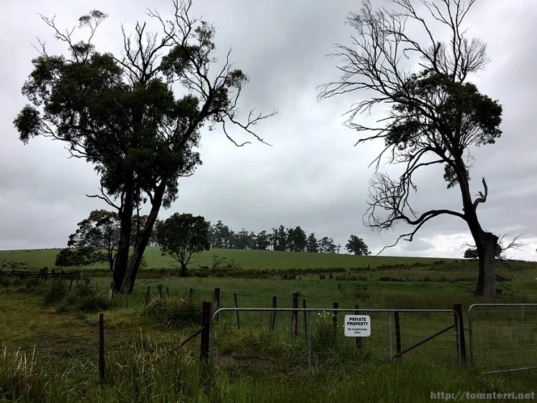 2016-11-23_at_08.54.20.jpg?type=w773