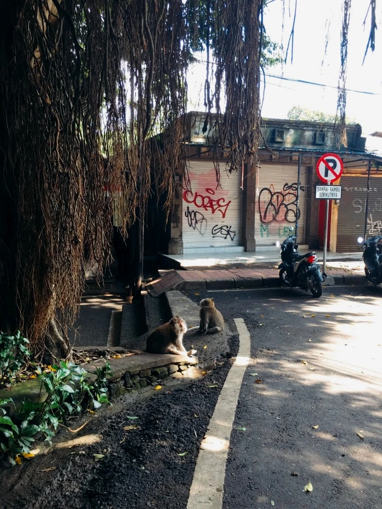 image_86536091476019059028.jpg?type=w773