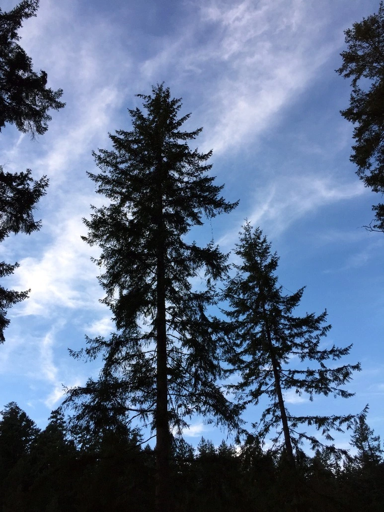 image_3551291751469348818420.jpg?type=w773