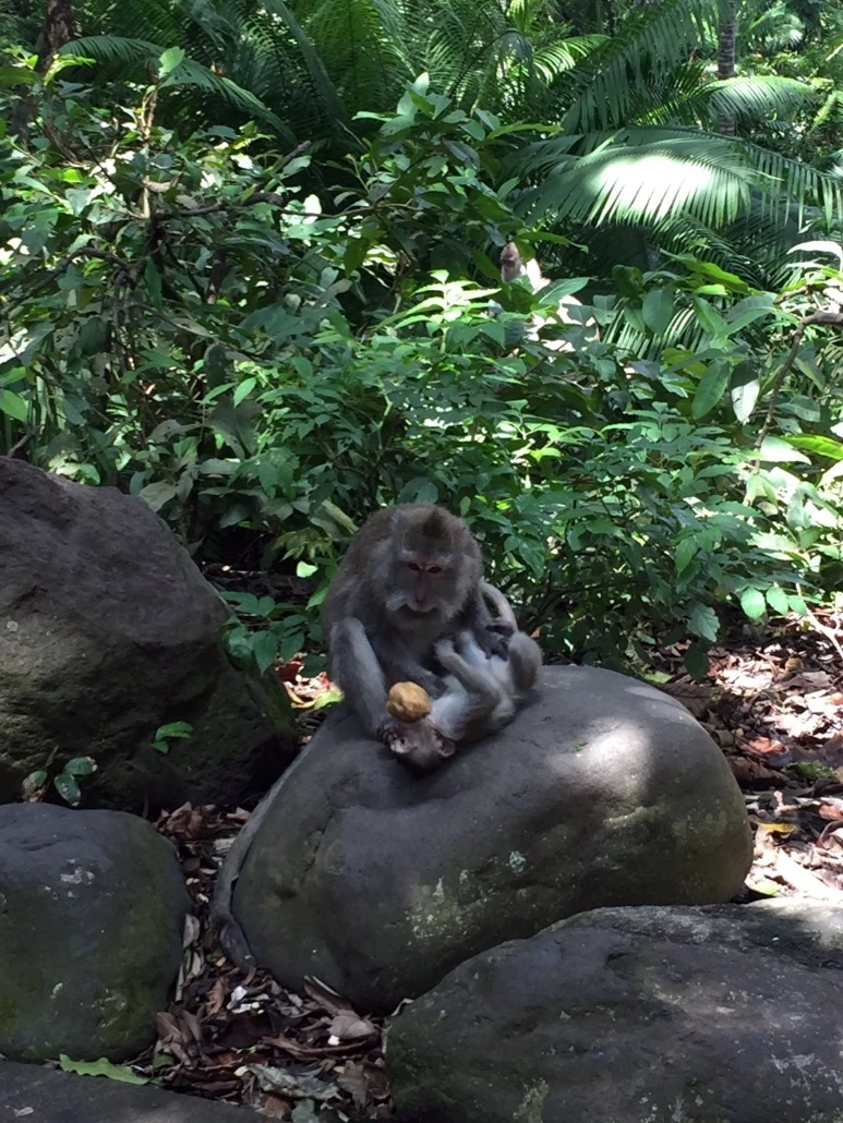 image_6141148851476019059047.jpg?type=w773