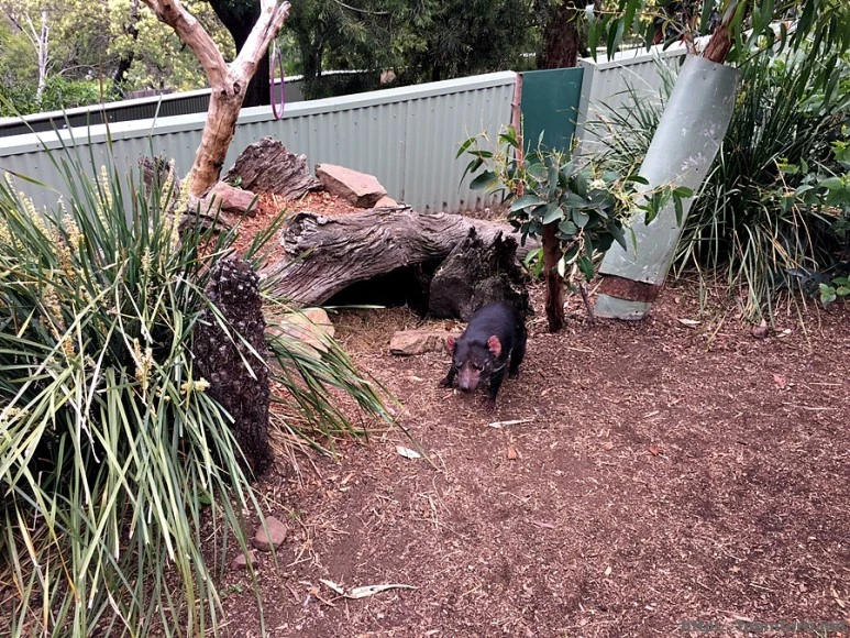 2016-11-25_at_08.42.52.jpg?type=w773