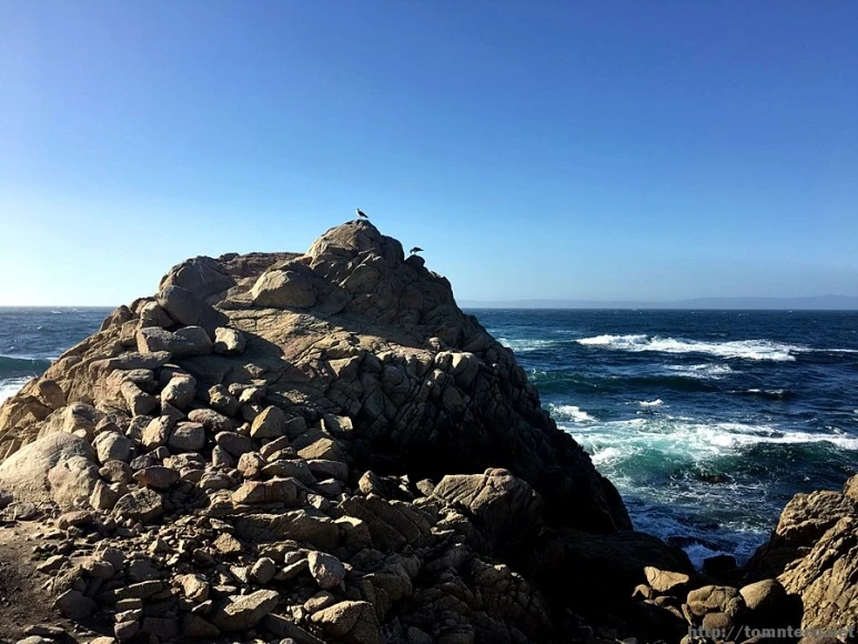 2017-05-02_at_09.26.48.jpg?type=w773