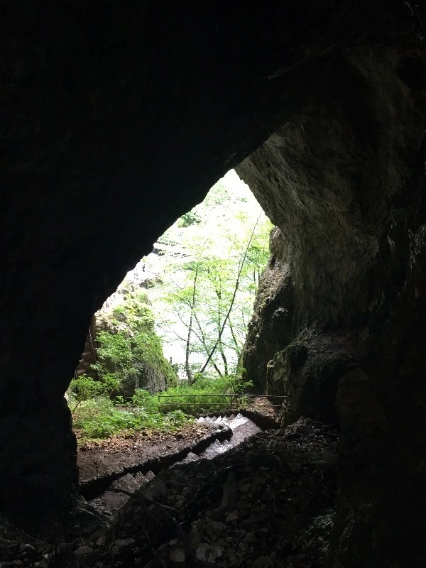 image_2510789751469330111407.jpg?type=w773