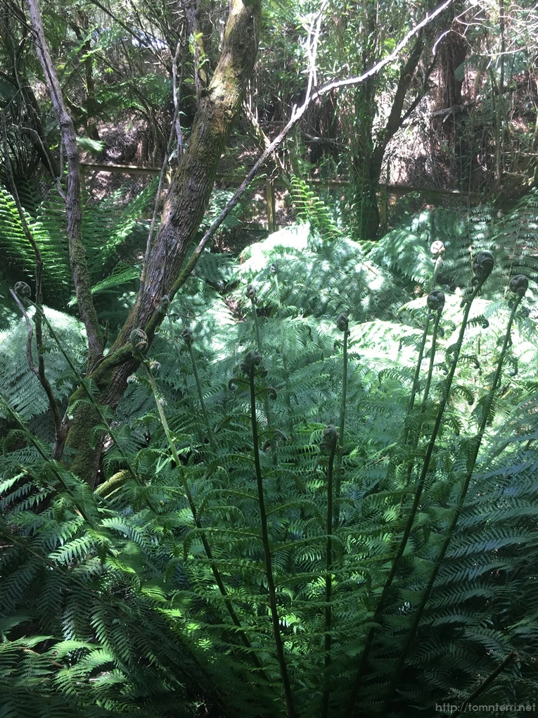 2016-11-21_at_12.41.14.jpg?type=w773