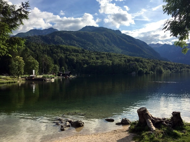 image_5339154631467475139278.jpg?type=w773