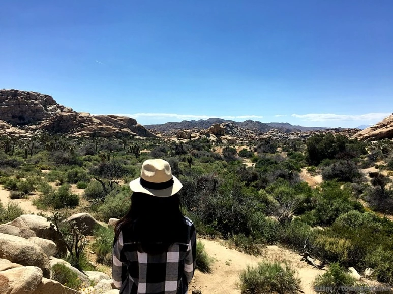 2017-05-05_at_06.05.31.jpg?type=w773