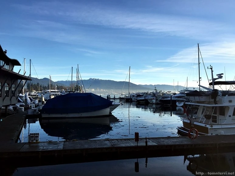 2016-02-10_at_02.03.11.jpg?type=w773