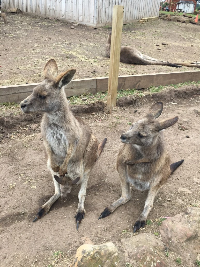 2016-11-25_at_09.06.01.jpg?type=w773