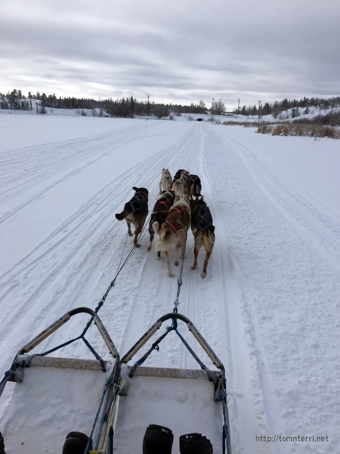 2016-02-07_at_05.44.12.jpg?type=w773