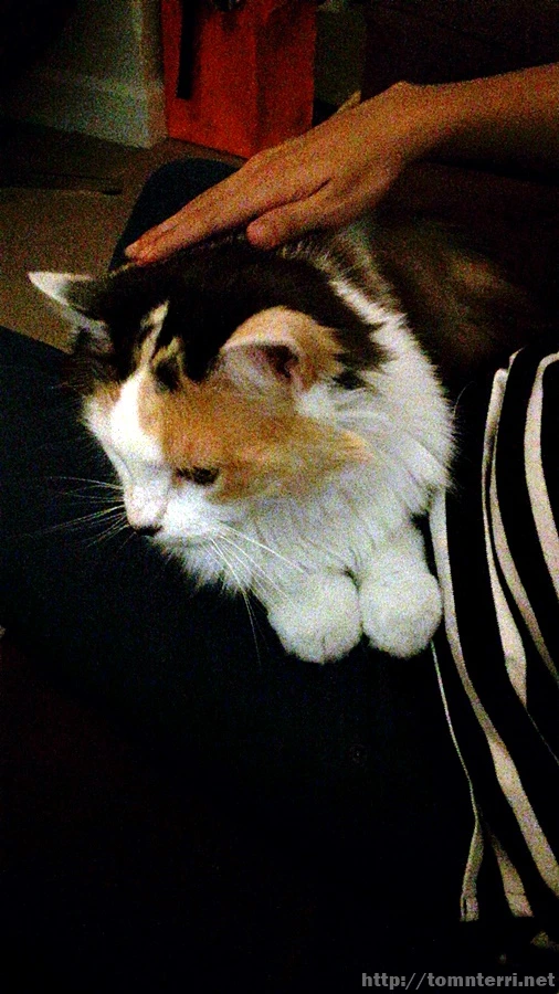 2016-11-24_at_19.31.29.jpg?type=w773