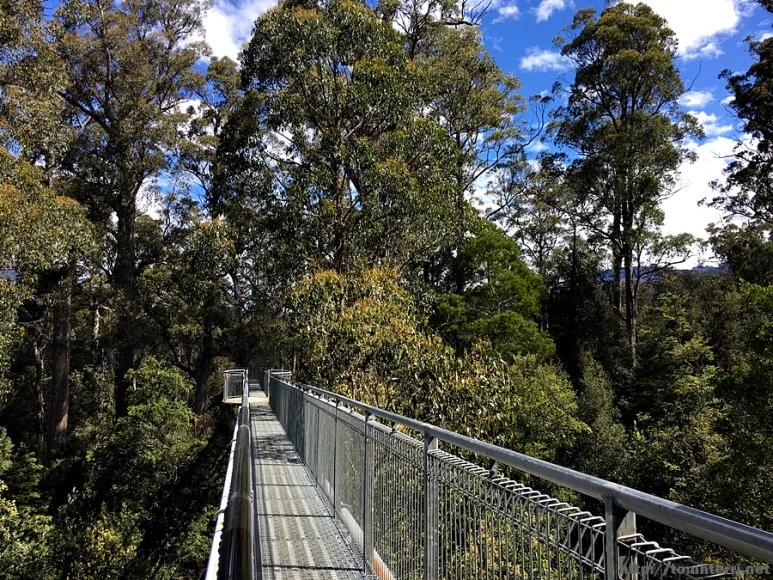 2016-11-24_at_13.07.34.jpg?type=w773