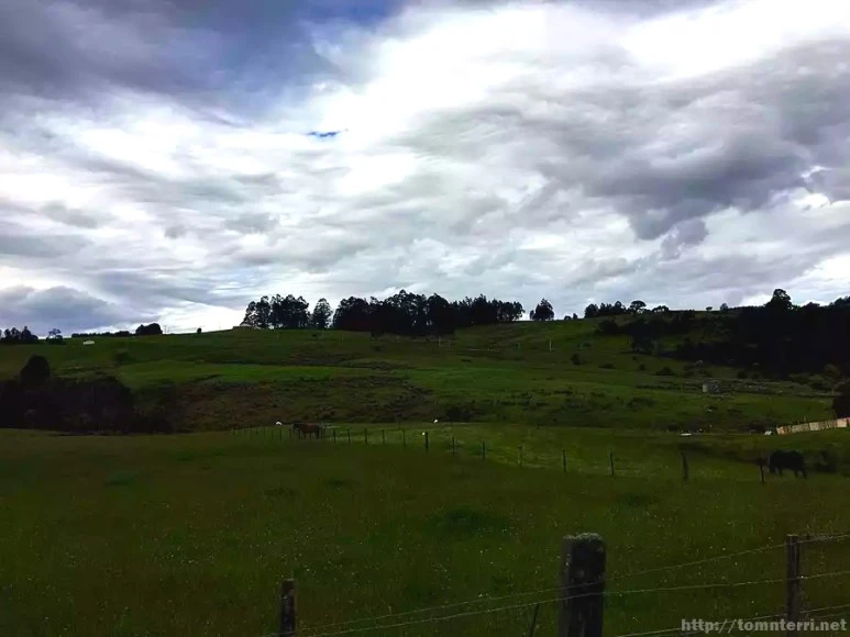 image_8112766801492441969979.jpg?type=w773