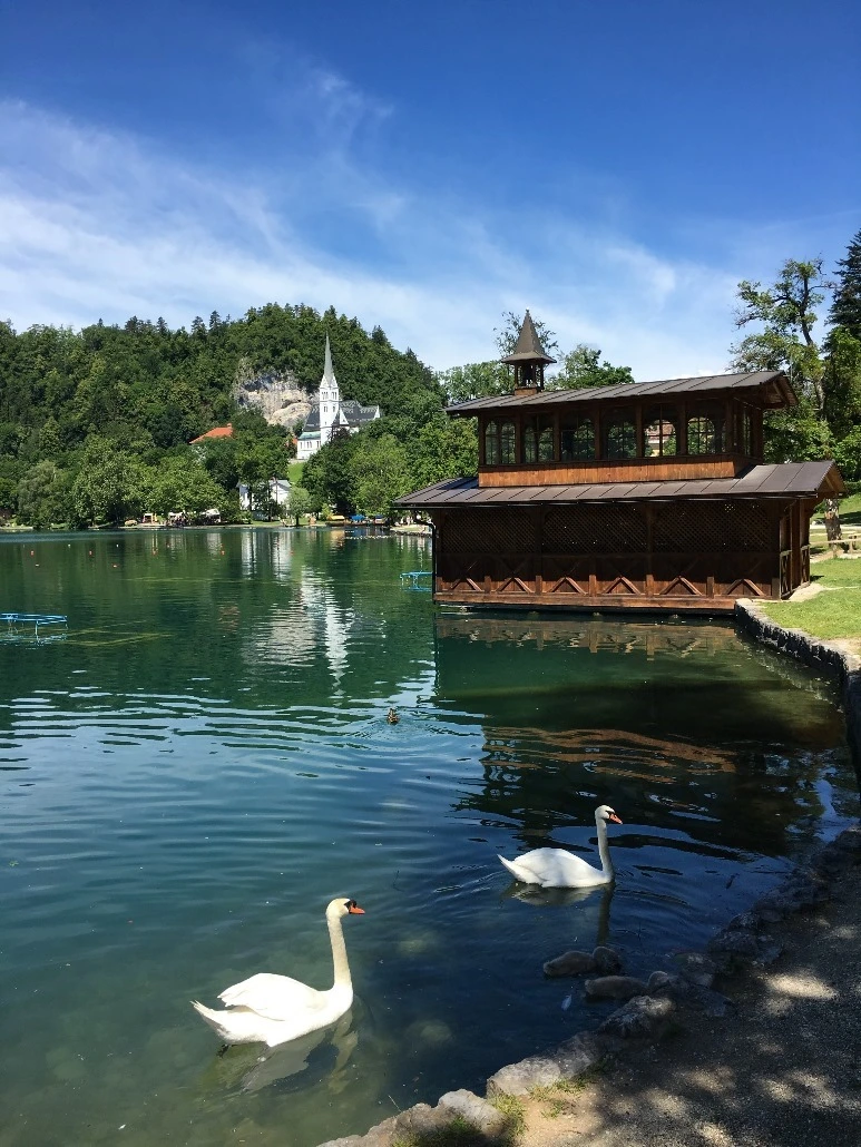 image_1851098561467472022111.jpg?type=w773