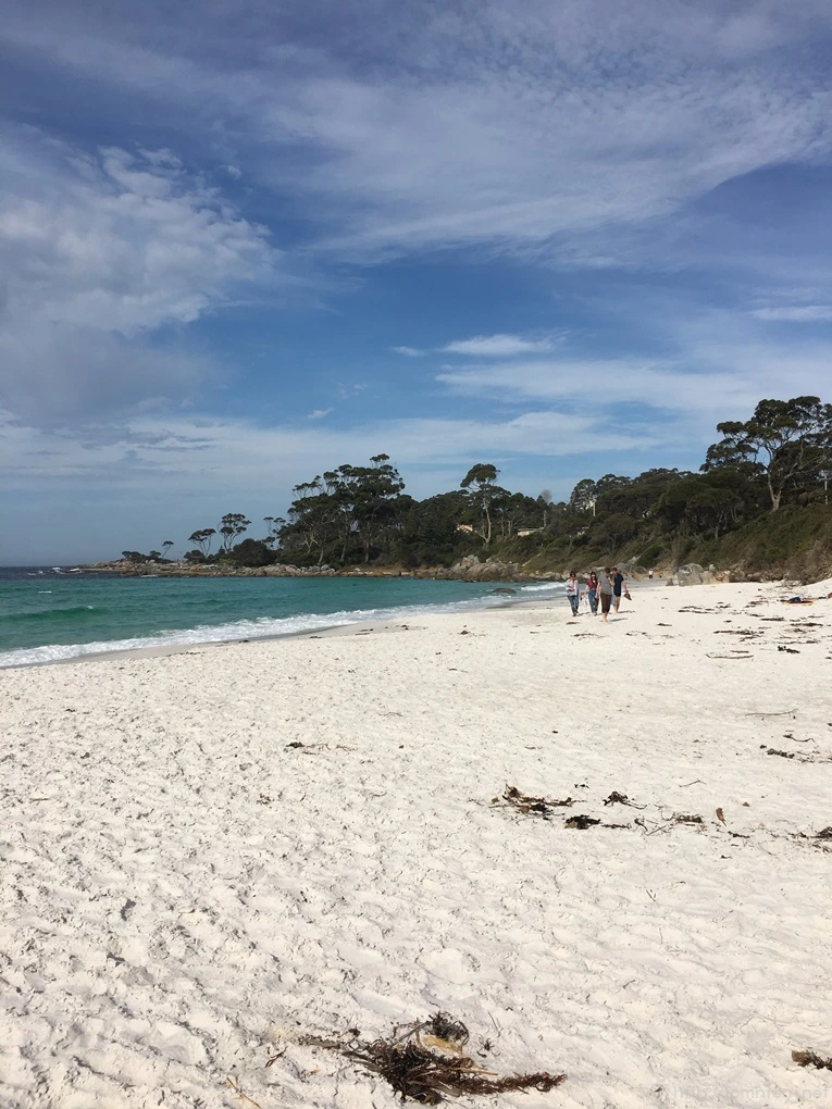 2016-11-21_at_14.50.09.jpg?type=w773