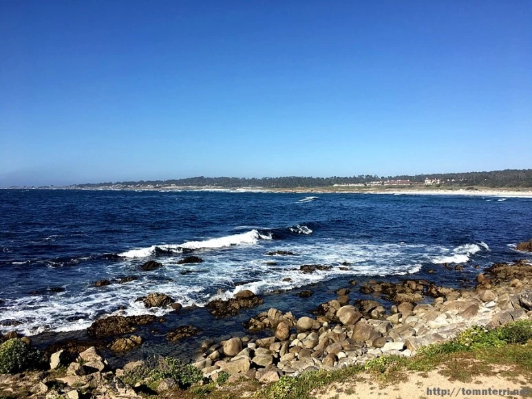 2017-05-02_at_09.23.35.jpg?type=w773