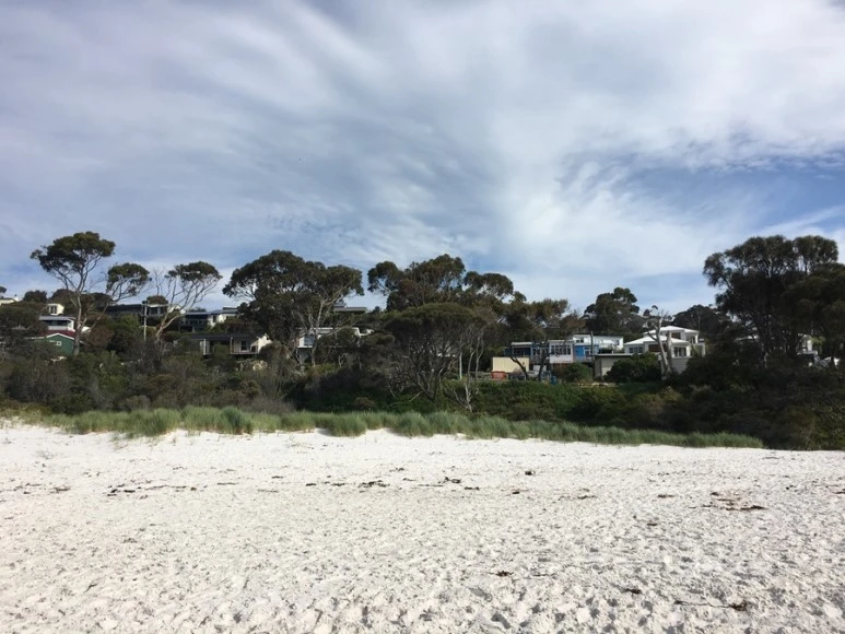 2016-11-21_at_14.52.04.jpg?type=w773