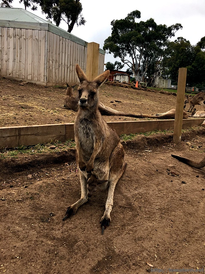 2016-11-25_at_09.05.20.jpg?type=w773