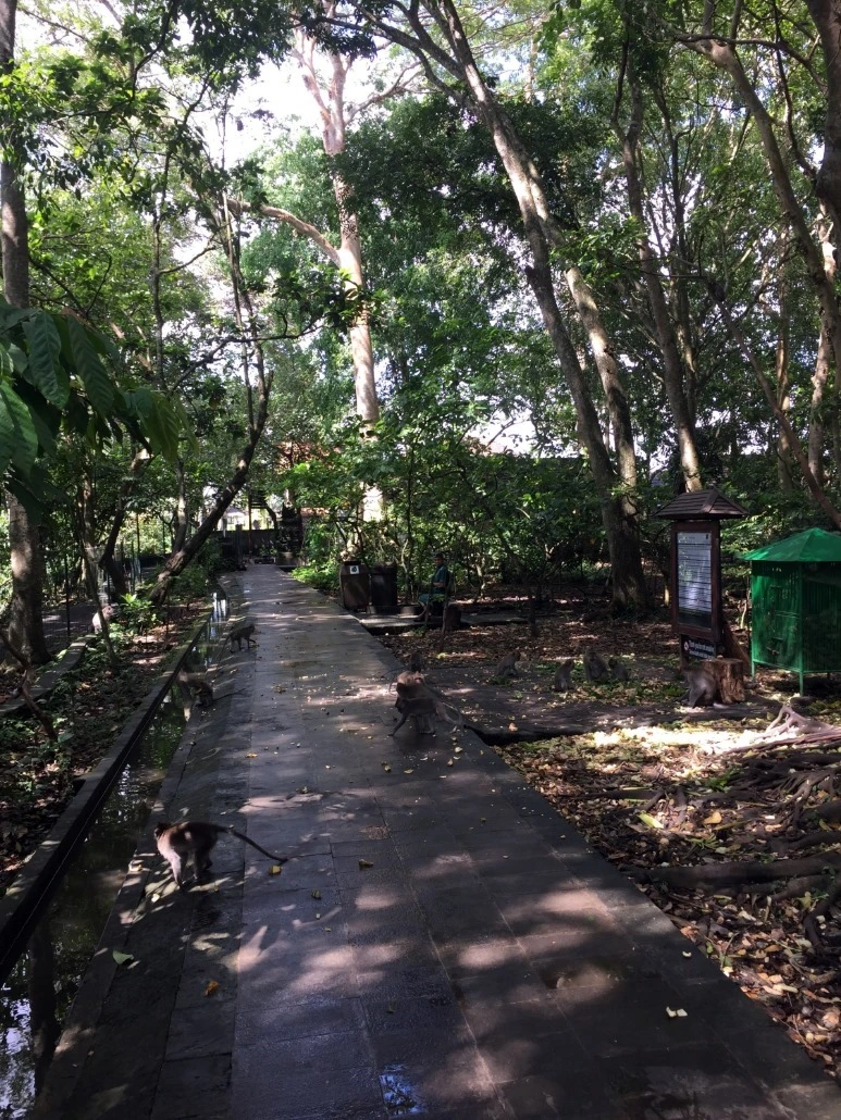 image_3871743411476019059037.jpg?type=w773