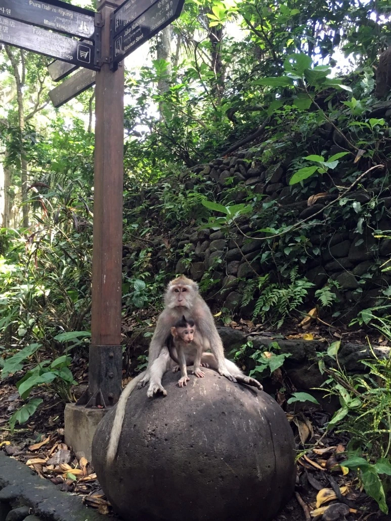 image_9246157711476019059036.jpg?type=w773