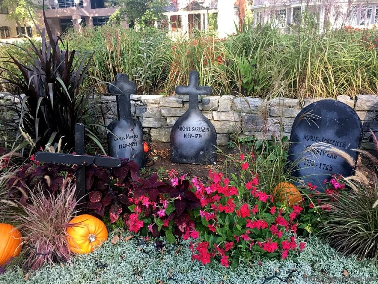 2017-10-03_at_22.19.35.JPG?type=w773