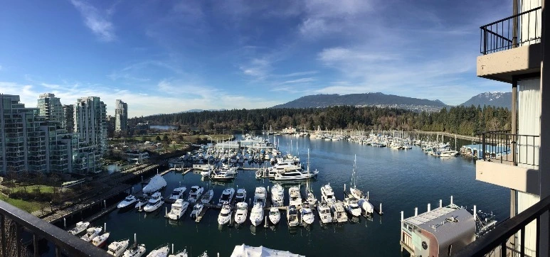 image_4679618841469348691781.jpg?type=w773