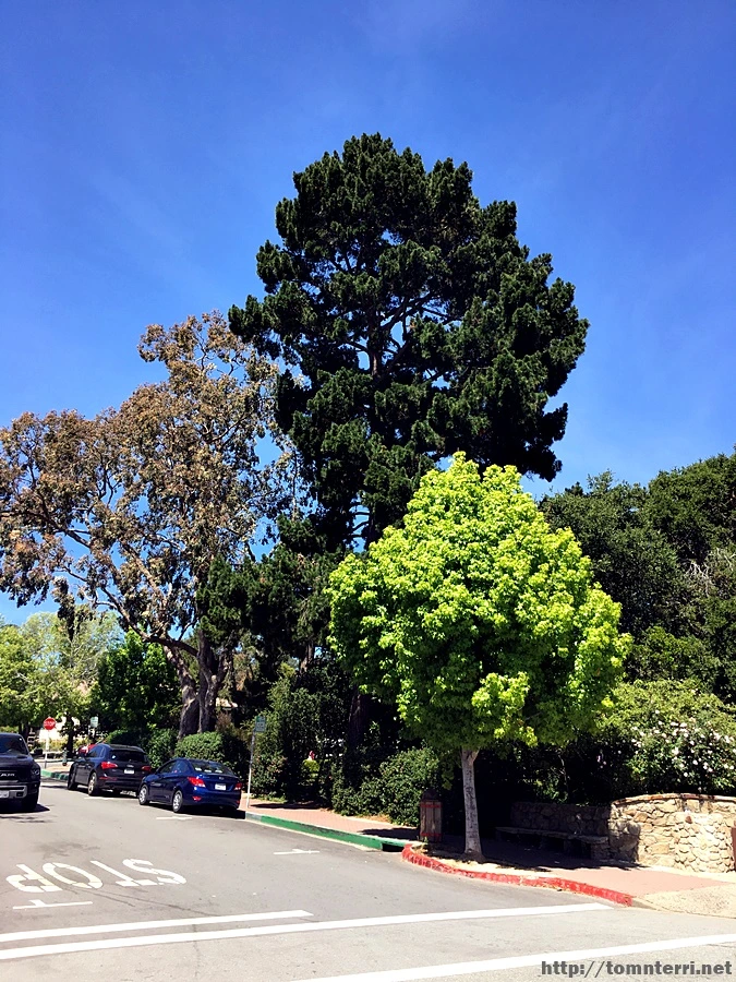 2017-05-03_at_06.35.38.jpg?type=w773