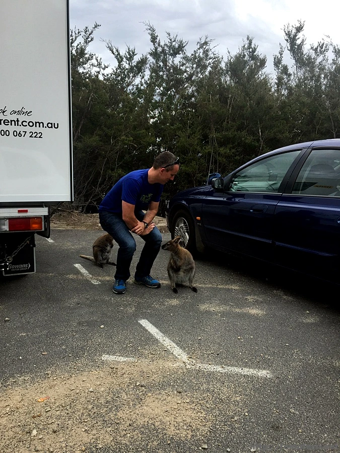 2016-11-22_at_09.46.29.jpg?type=w773