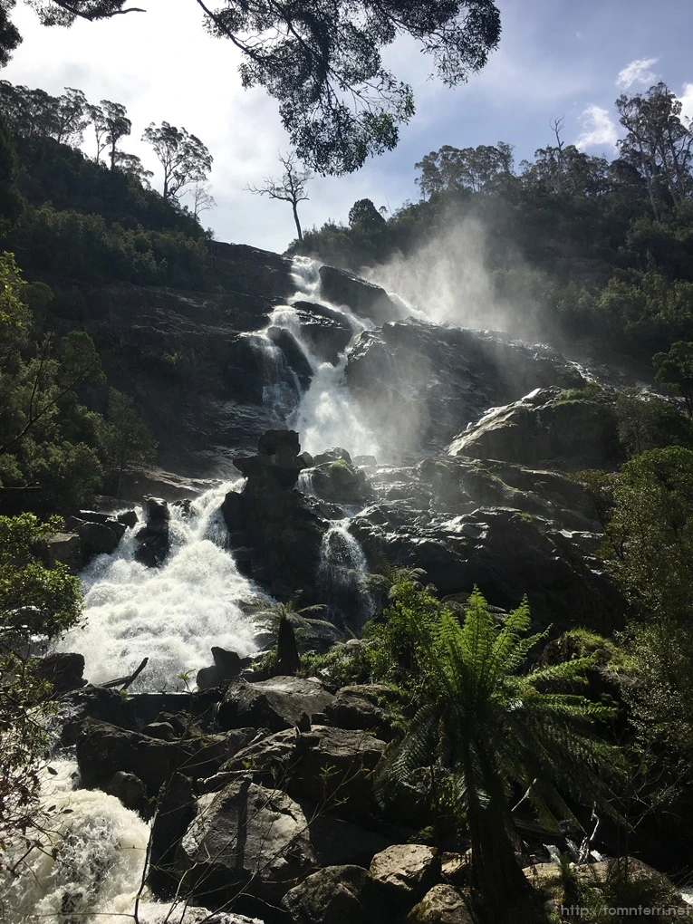 2016-11-21_at_12.51.00.jpg?type=w773