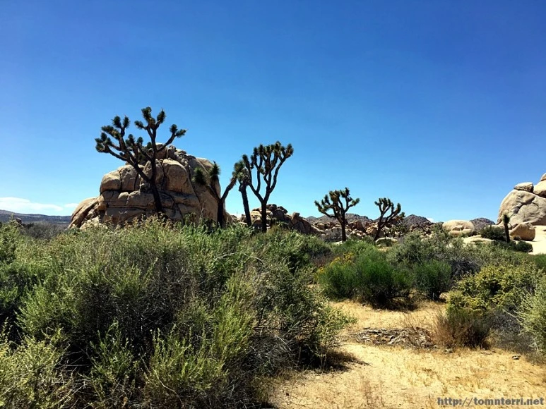 2017-05-05_at_05.28.13.jpg?type=w773