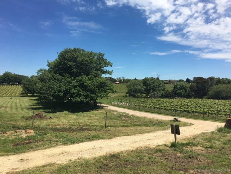 2016-11-20_at_11.24.05.jpg?type=w773