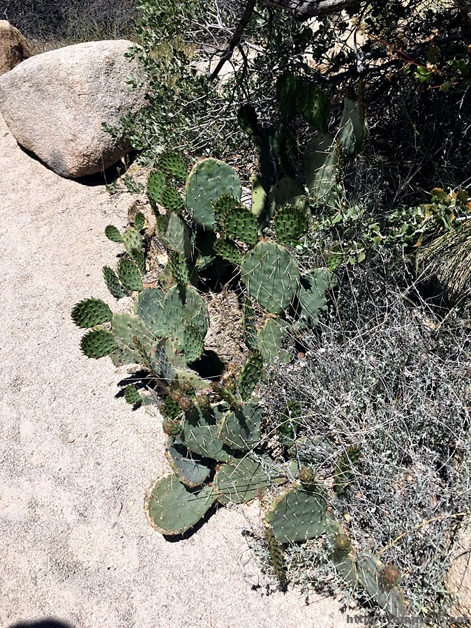 2017-05-05_at_05.43.46.jpg?type=w773