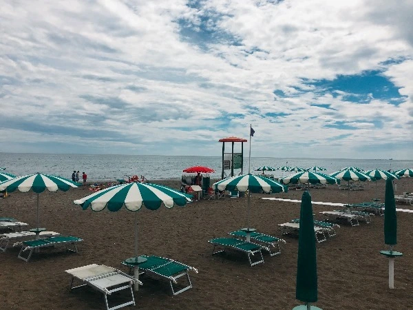 image_2347500371467465197800.jpg?type=w773