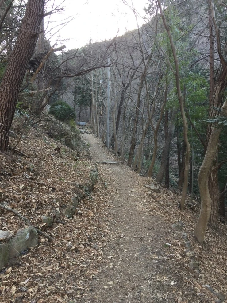 IMG_6831.JPG?type=w740