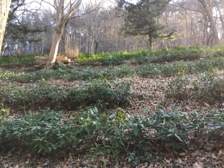 IMG_6829.JPG?type=w740