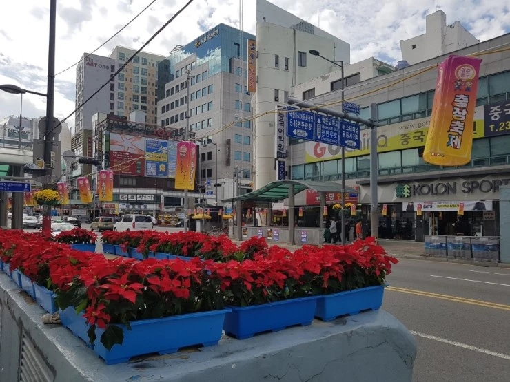 20171019_134539.jpg?type=w740