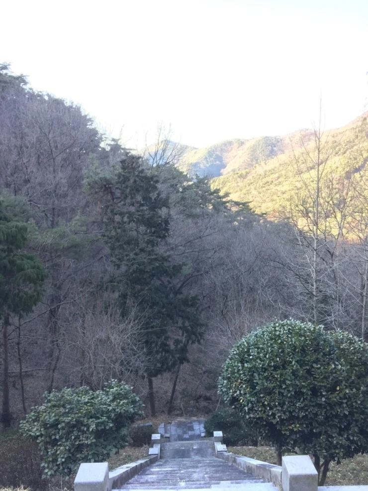 IMG_6841.JPG?type=w740