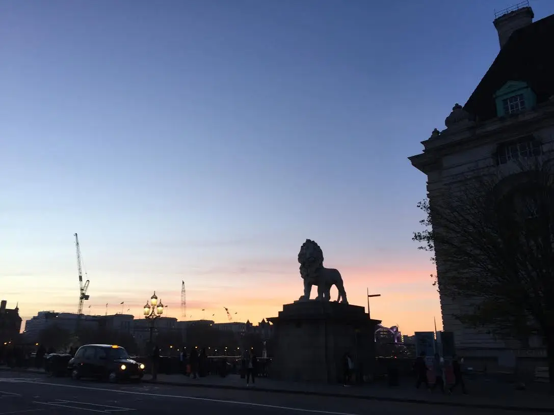 28c15065-434a-4bc3-9473-bf4d8dd4bbd3.jpe