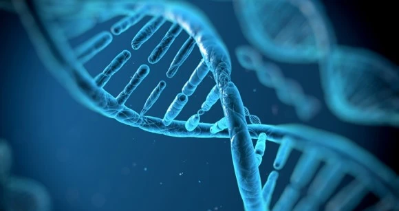 %EC%9C%A0%EC%A0%84%EC%9E%90.jpg?type=w580