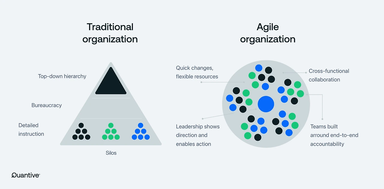 Agile_vs_Traditional_Organisation_23b0287b0f.svg