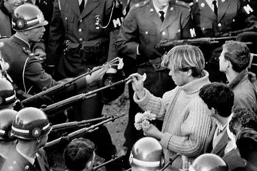 flowerwall1.jpg?resize=500%2C333