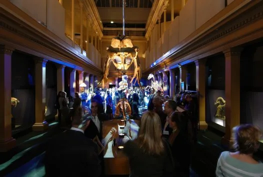 12.jpg?resize=526%2C354&amp;ssl=1