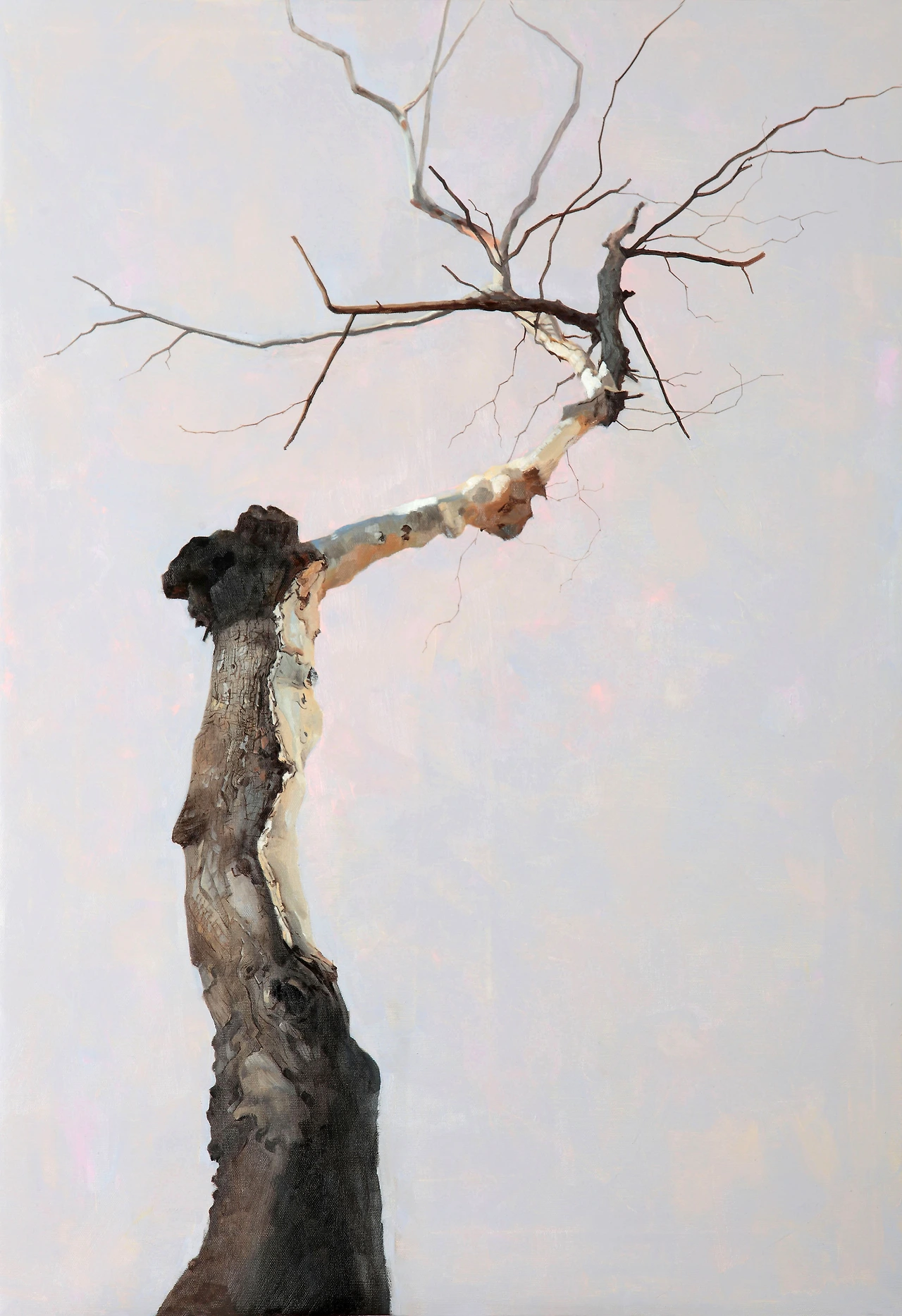 고대하다,72.7X50.0, oil on canvas, 2016, 2.000.000.JPG