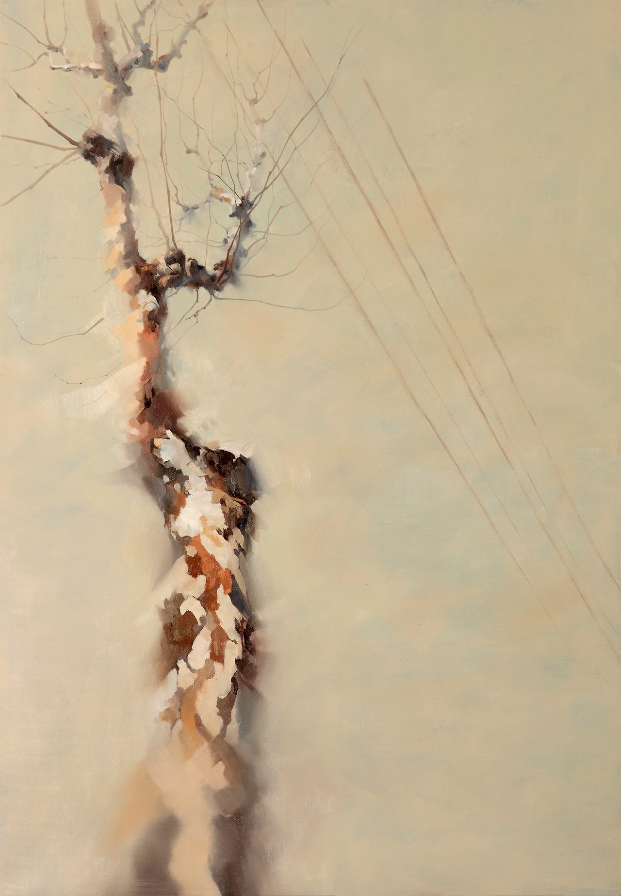 숨,72.7x50.0, oil on canvas, 2016, 2,000,000.JPG