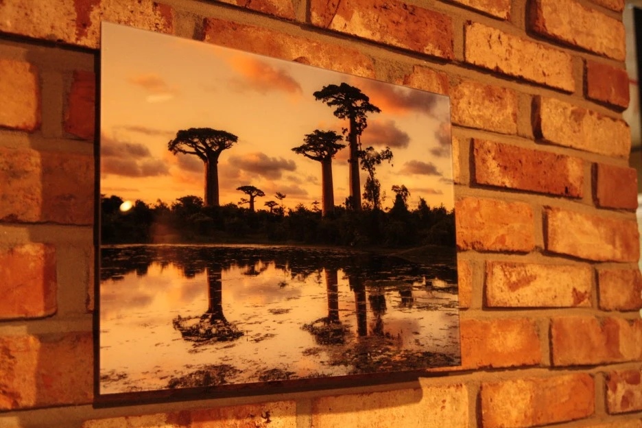 IMG_5986.JPG?type=w1